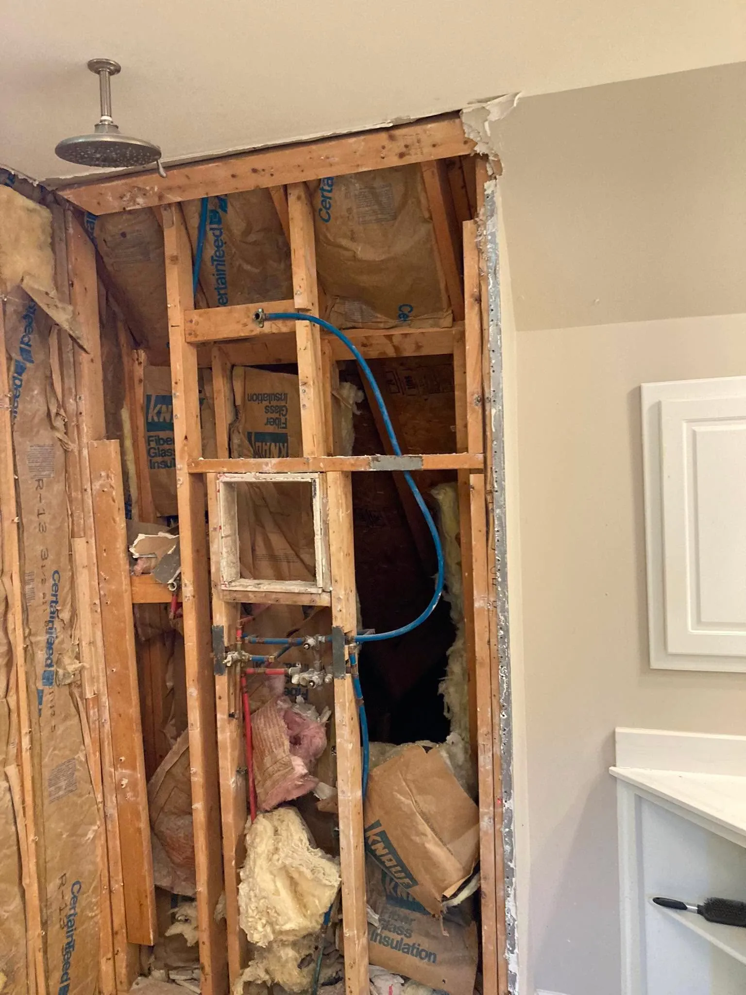 A shower alcove demoed down to wood studs and insulation, with the plumbing lines and shower head still exposed.